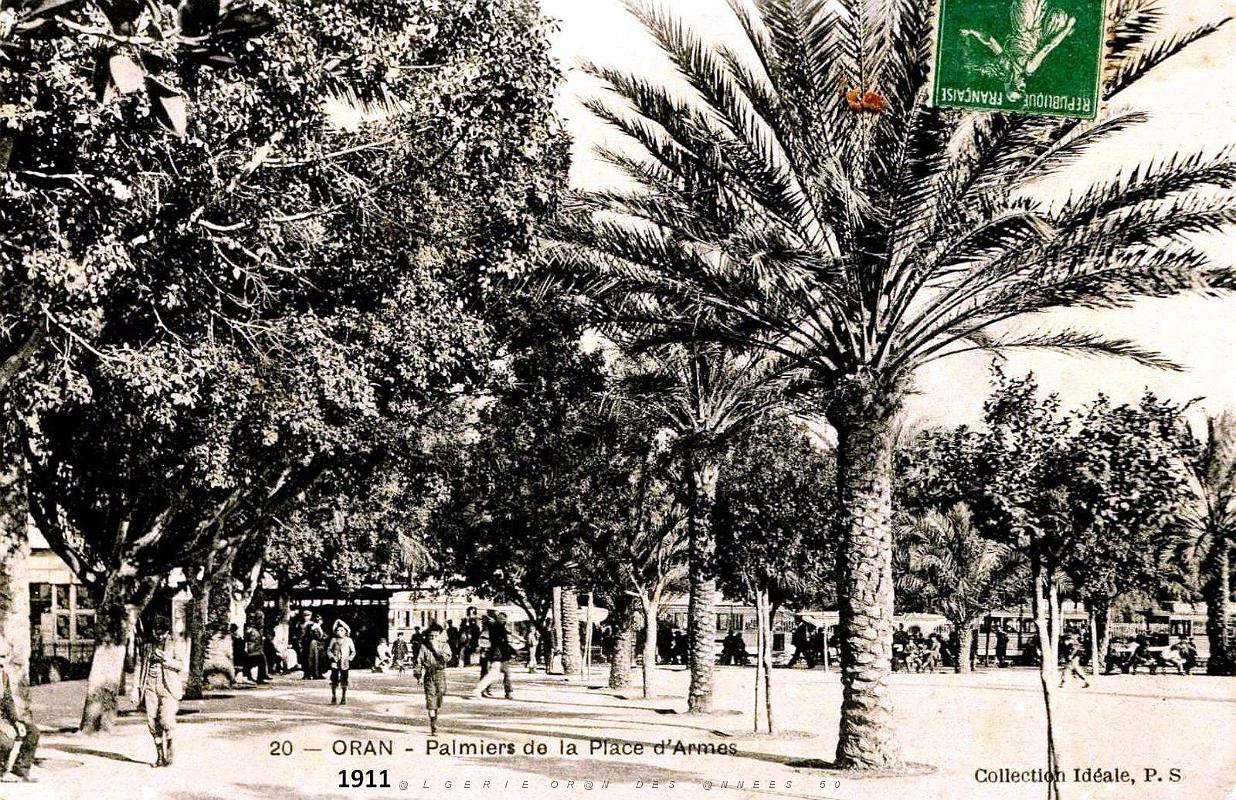 Oran - Place d'Armes -  Palmiers - 1911.jpg